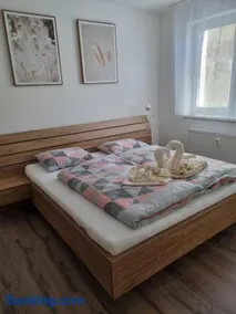 Nový Apartmán v areálu Wellness hotelu Frymburk - Image 3