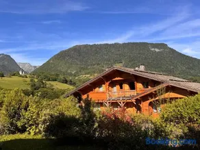 10 min from Lake Annecy, quiet chalet with view - Image 1