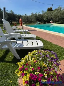 Le Coccole Del Trasimeno - Image 2