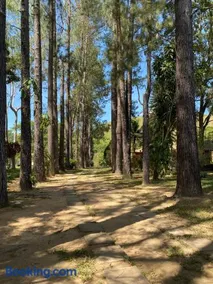 Casa de Campo sítio NSra Aparecida - Image 3