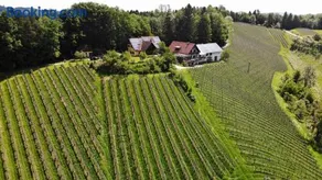Weingut spitzyPeitler - Image 1