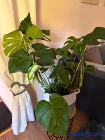 Apartment Dietze - Image 5