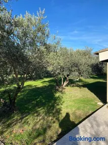 Danie, maison des oliviers et vue Luberon - Image 3