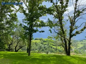 Villa panoramica sulle colline del Monferrato - Image 5