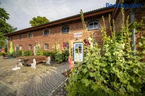 Rügenhof Kap Arkona - Image 3