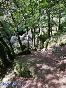 Les Gîtes du Triskell, gîte du Feu - Image 2