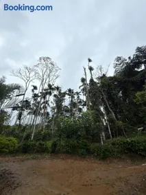 Veni homestay - Image 3