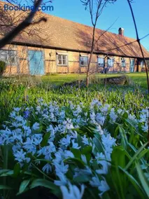 Torseke Hostel - Image 1