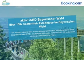 App mit Klima, Pool, Garage für Auto, Bike, Skier, AktivCARD optional - Image 3