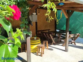 PINGO 2 - Image 3