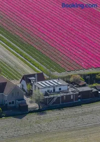 De Bollenkamer - Image 3