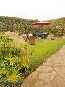 da Vale e Tea - Image 2