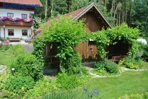 Haus Am Waldrand - Ferienwohnung Augustin - Image 4