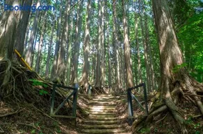 清流と森林の山荘 Tanzawa Forest Villa - Image 3