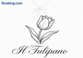 Il Tulipano - Image 2