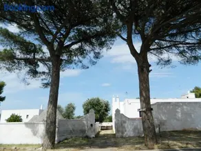 Masseria Purgatorio - Image 3