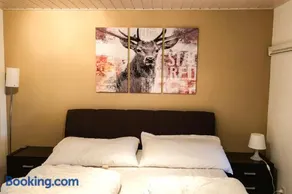 Agréable appartement de vacances avec barbecue, terrasse et jardin | Ski à proximité - Image 1