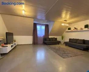Ferienwohnung Sinsheim - Image 1