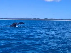 Avoca Holiday House Fraser Island - Image 2