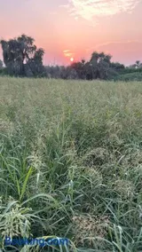 Al Gaith Retreat - Image 2