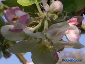 Gîte rénové au calme avec jardin clos à Boissets - Image 2