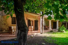 El huerto de Candeleda - Image 3