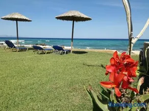 Studio Thalassa - Image 1