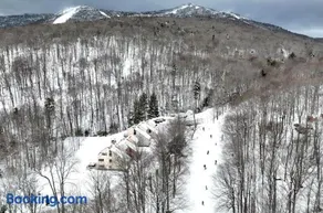 Trailside Village #7 - Slopeside 1BR with Hot Tub, Sauna and BBQ, Ski In Ski Out - Image 2