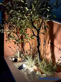 La petite maison - cocon provençal climatisé - Image 2