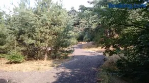 Het krekeltje - Image 5