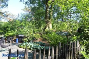 Mooi 4p Wellness chalet in het Bos met finse Sauna en Hottub - Image 3