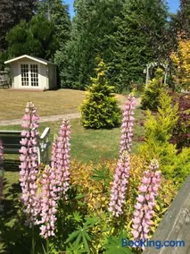 Westwood Cottage - Image 5