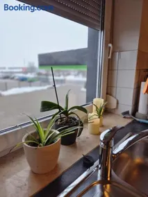 Steffis Apartment - Image 5