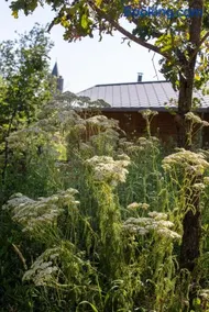 Eco-lodge et SPA - FEU - Domaine Les Safranières - Image 1