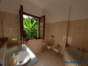 House w little tropical garden - Image 3
