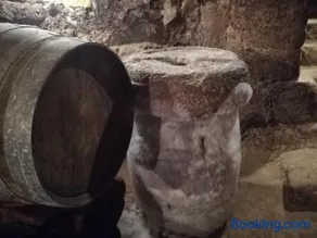 Calao de Cuatro Copas - Image 5