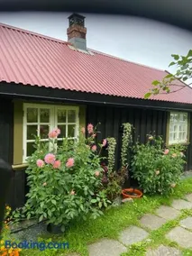 Lite hus i hagen - Image 2