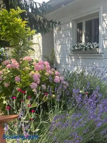 The house of roses - Image 5