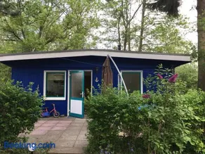 Blauer Bungalow am See mit Boot - Image 1