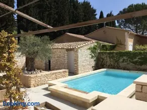 Le Vieil Olivier 5 - Image 2