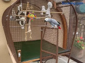 Maison de charme en Berry près d'un golf & spa, jardin d'hiver, vélos, animaux bienvenus - tout inclus - Image 2