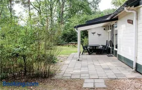 Roodborstje - Image 4