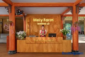 Mely Farm Mường Lò - Image 2