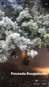 Pousada Bougainville - Image 4