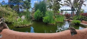 Parque Don Jose Casa Palmera - Image 3