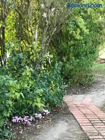 Maison à la Campagne - Image 3