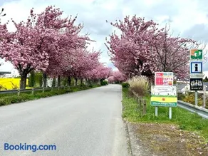 Chambre avec cuisine à la campagne au calme - Image 3