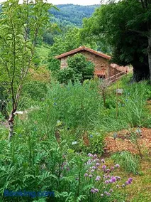 L'Abri-Gîte "Ô Jardin des Toiles" - Image 2