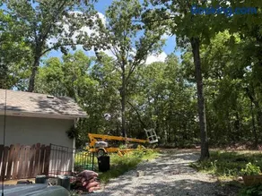 The Oasis at Osceola - Image 2