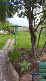 STELLA MARINA - IUN Q4042 - Image 2